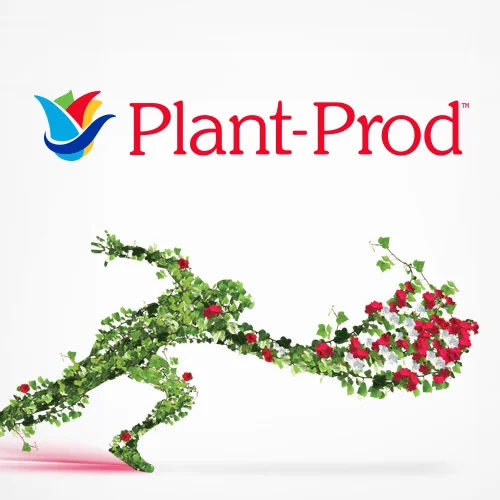 Thumb-Plant-Prod2.jpg