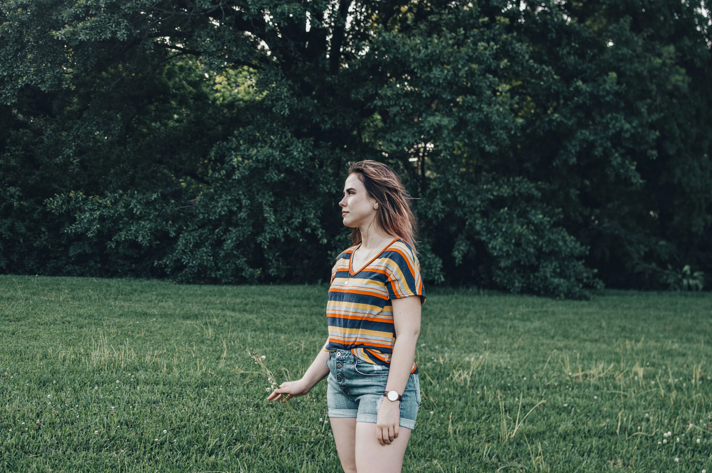 sadie001.jpg
