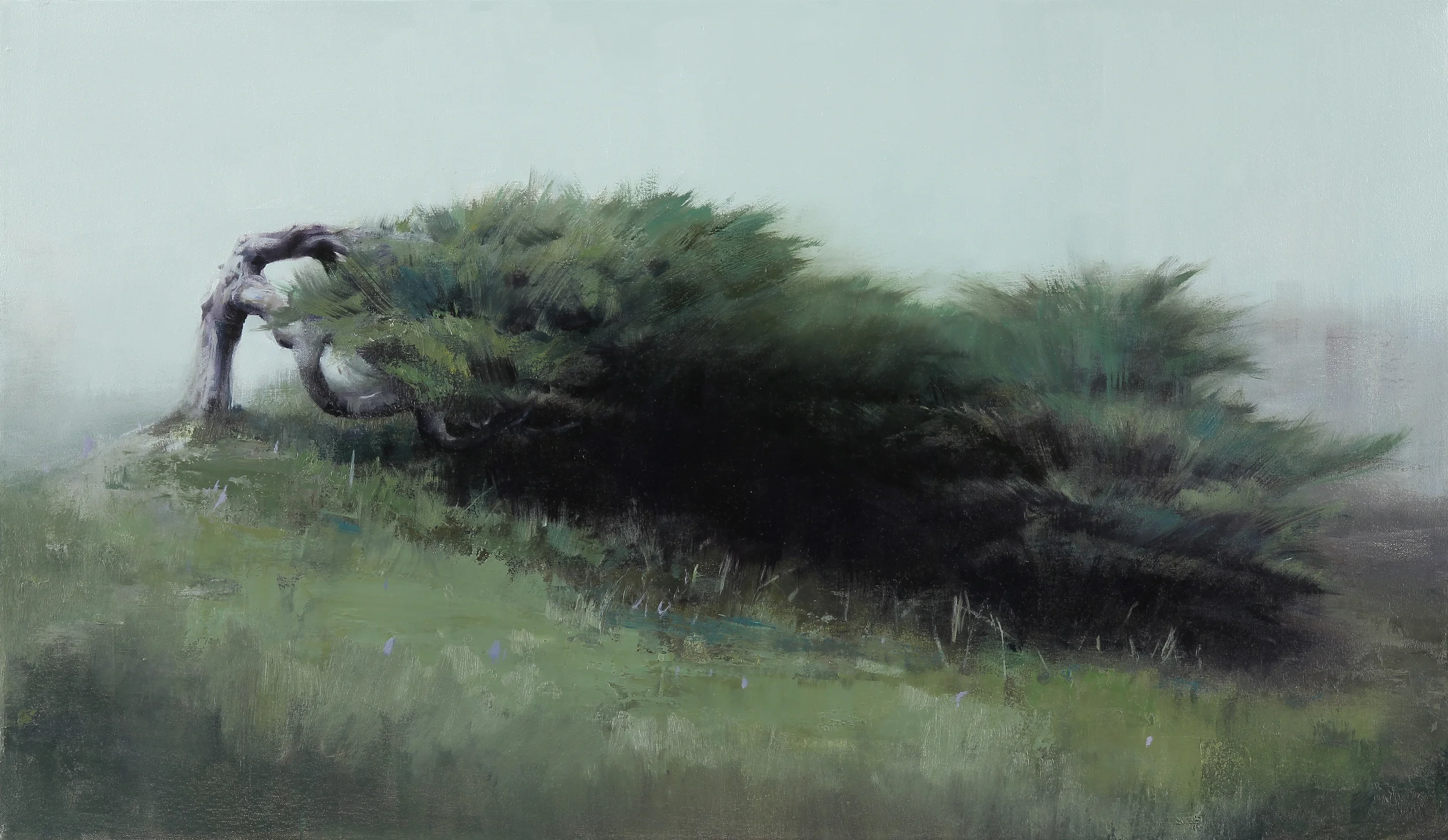  Tree on Noriega, 22" X 38", oil on canvas 