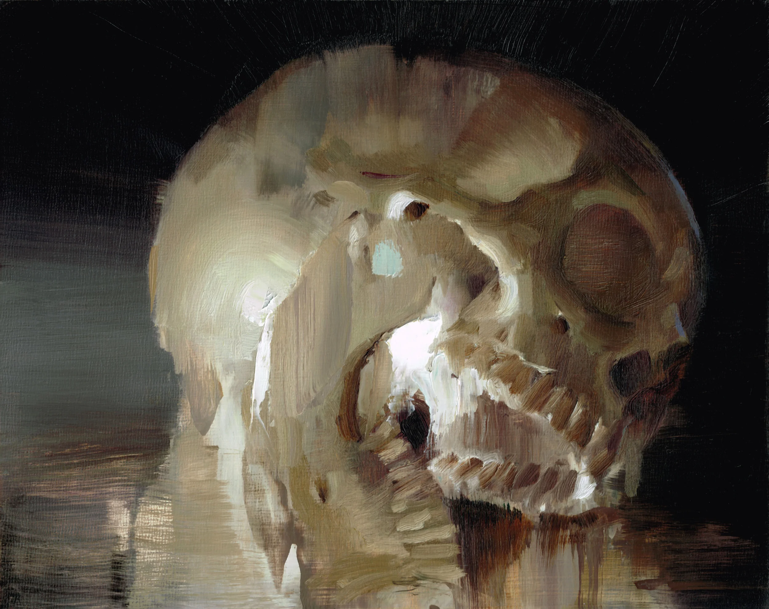  Skull, 8" X 10", oil on panel 