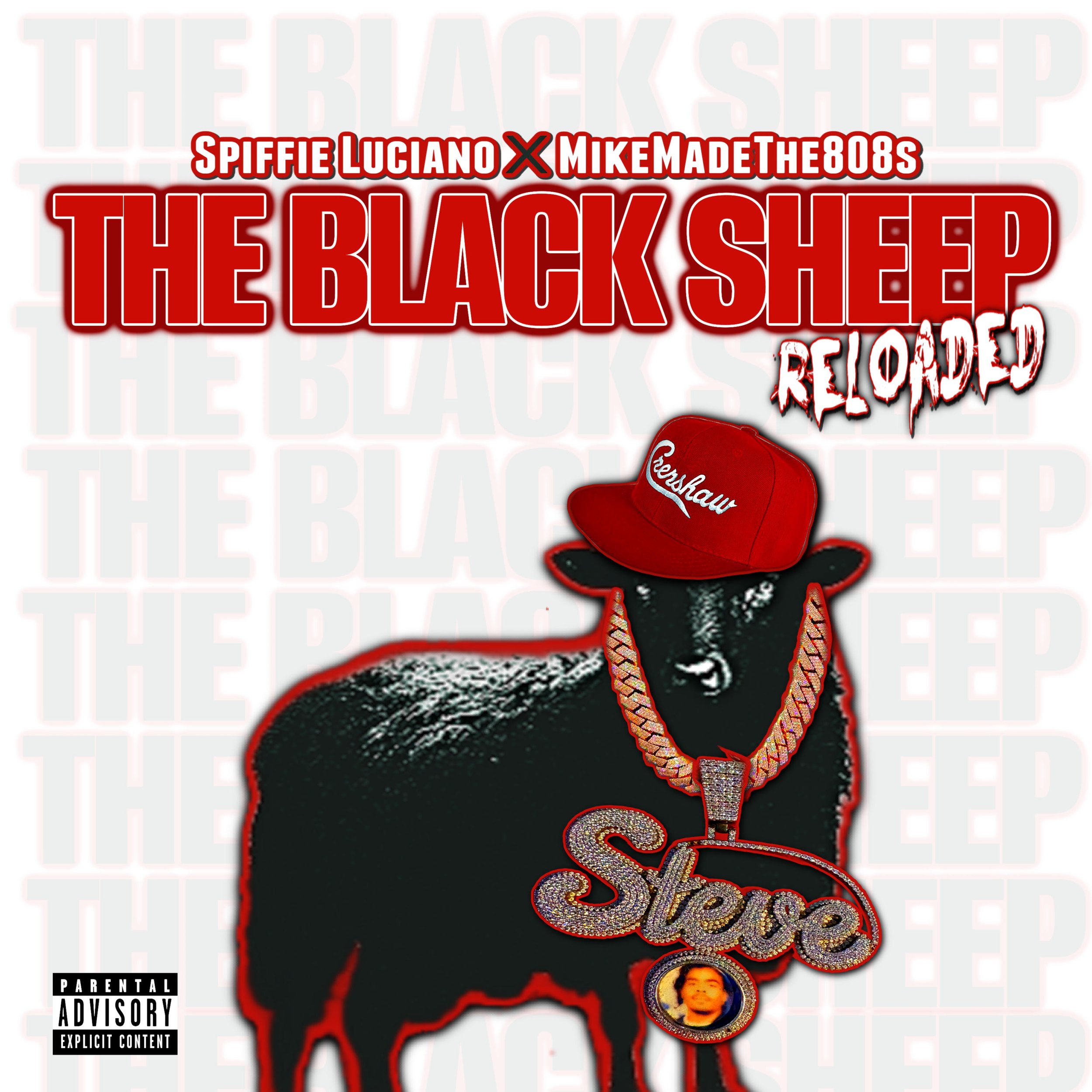 the black sheep.jpg