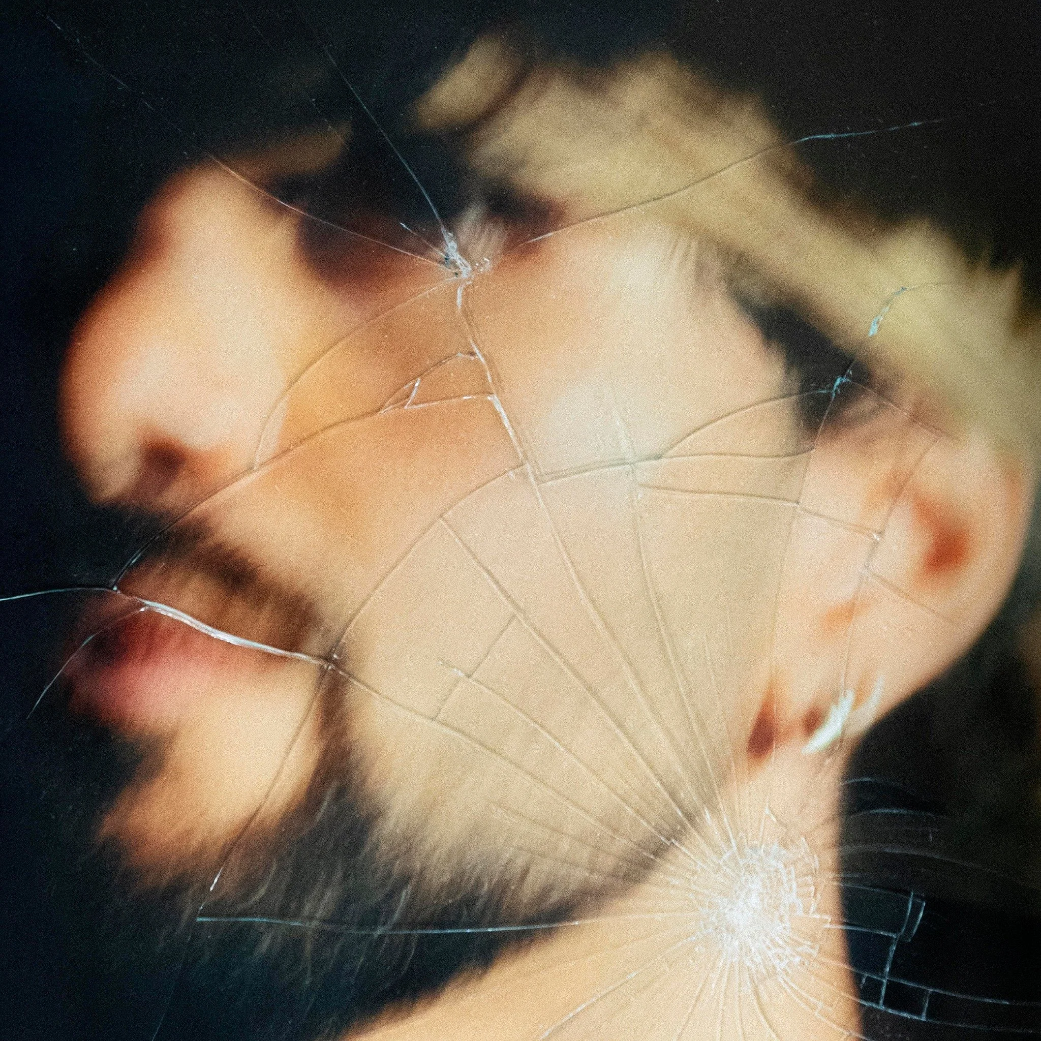 ArieS. Up - All Night [Review]