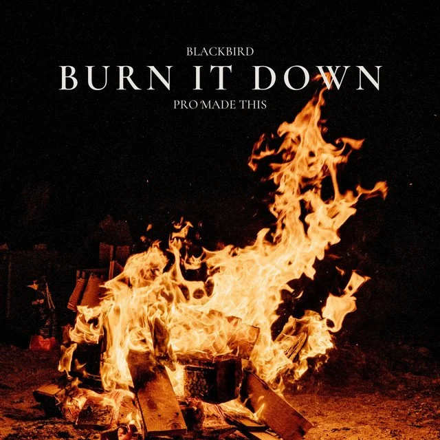 Blackbird x Pro Made This - Burn It Down [Music Review]
