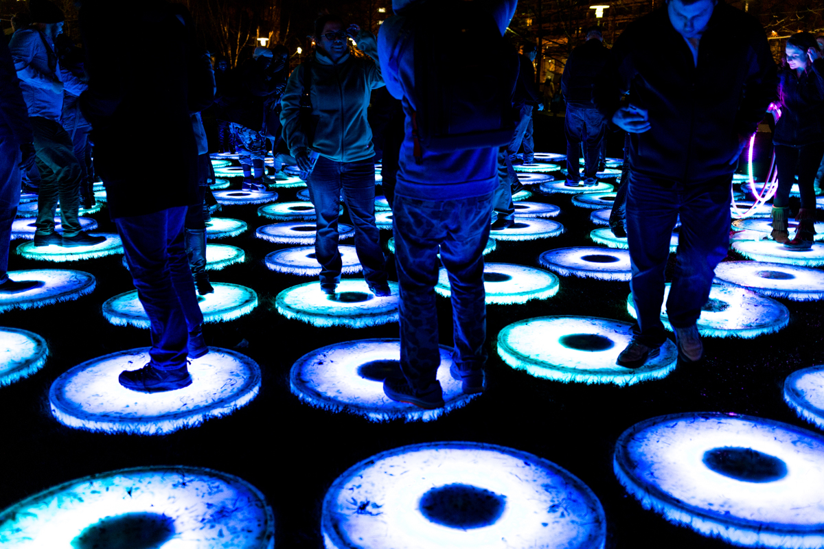 light_city_baltimore-24.jpg