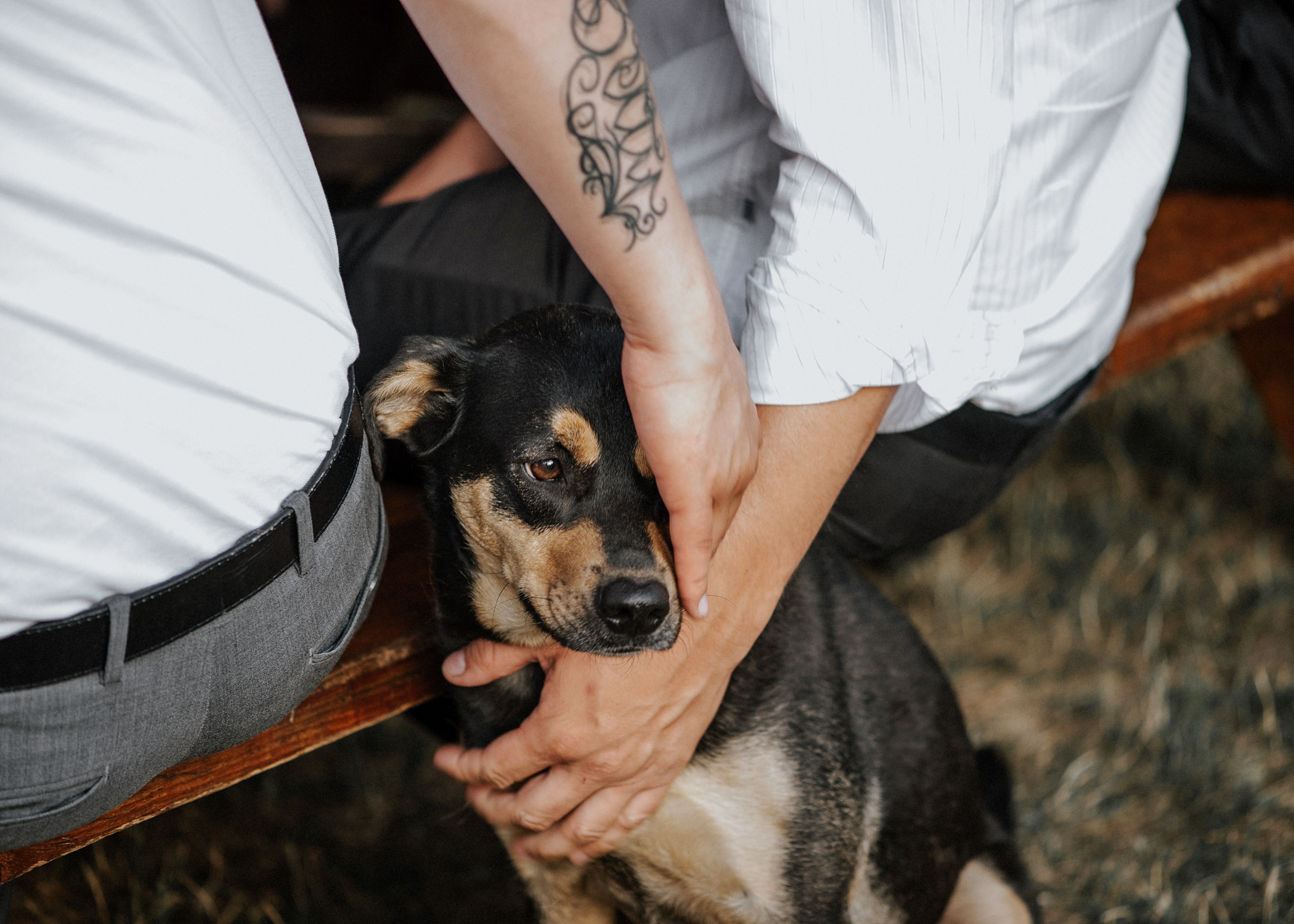 068-kaoverii-silva-KM-prewedding-vancouver-photography-webbs-holiday-acres-horse-ranch-blog.png