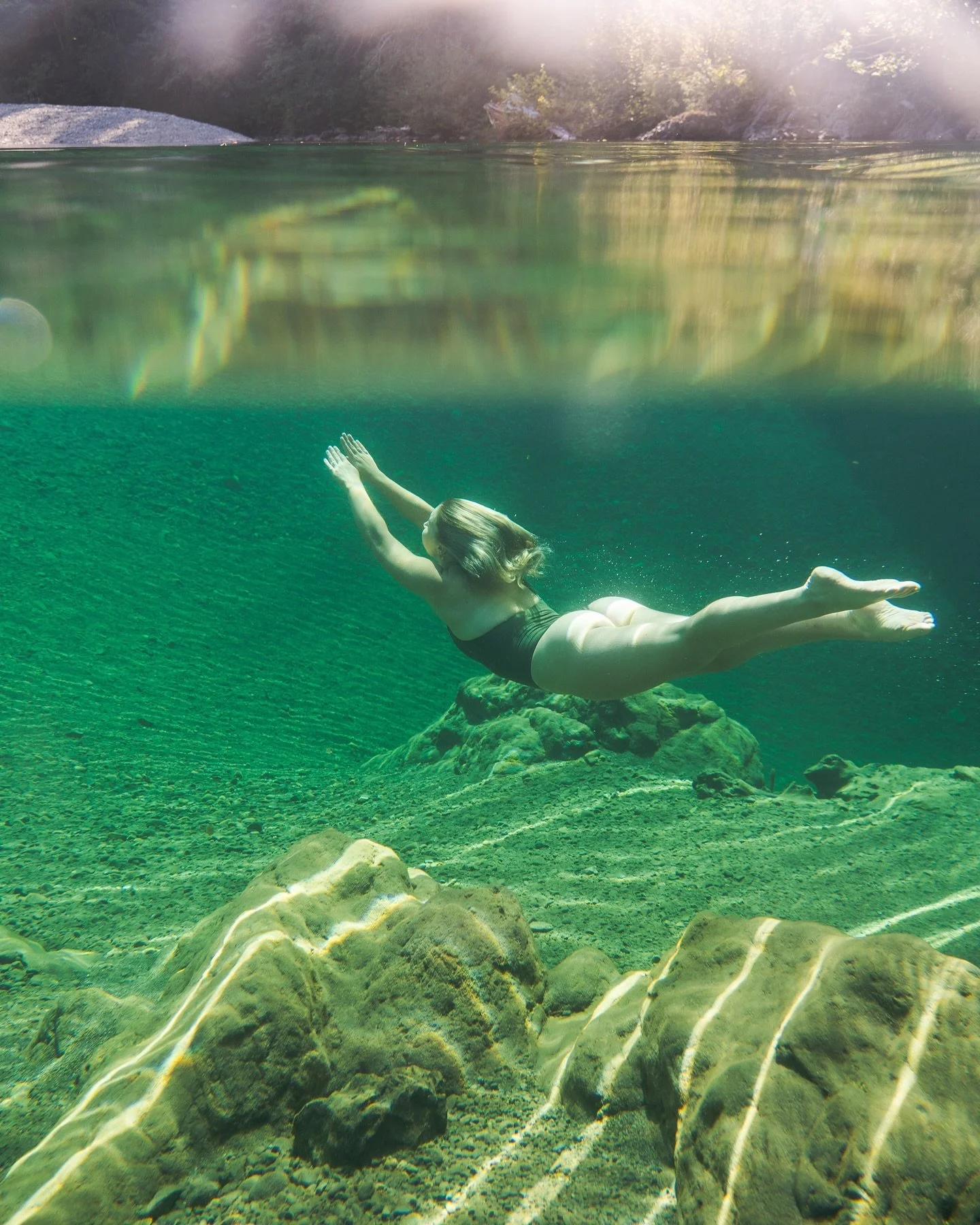 Couple of weenies trying to soak up some sun ☀️