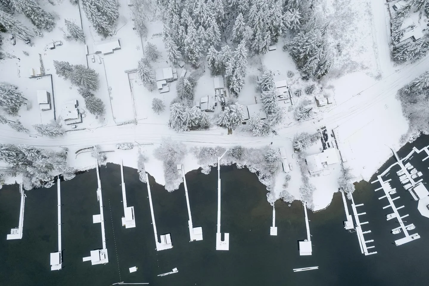 Well this morning was a big surprise. I definitely wasn&rsquo;t expecting to wake up to nearly a foot of fresh snow on the ground! It&rsquo;s great to see that Sproat Lake is looking a lot like winter, it&rsquo;s not a sight that happens very often.