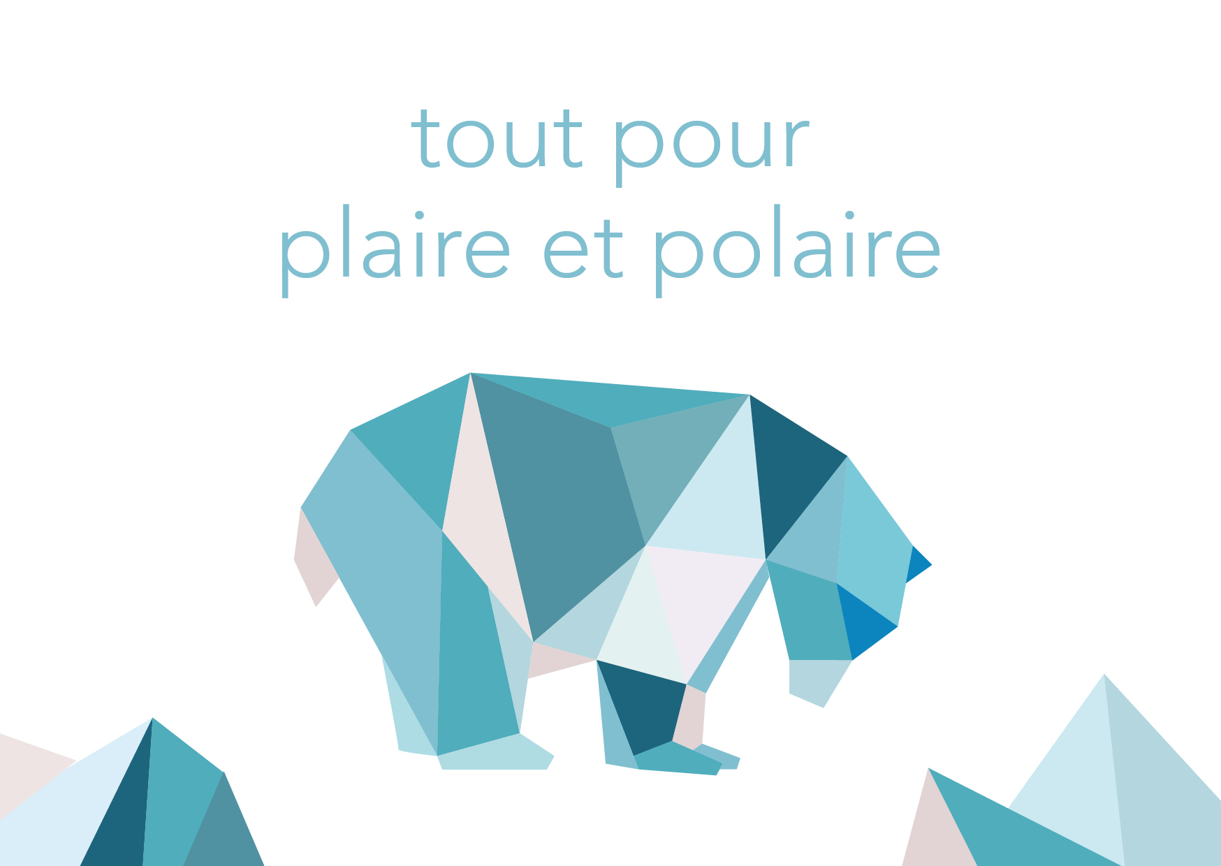 CARTEPOLAIRE3_POLE.jpg