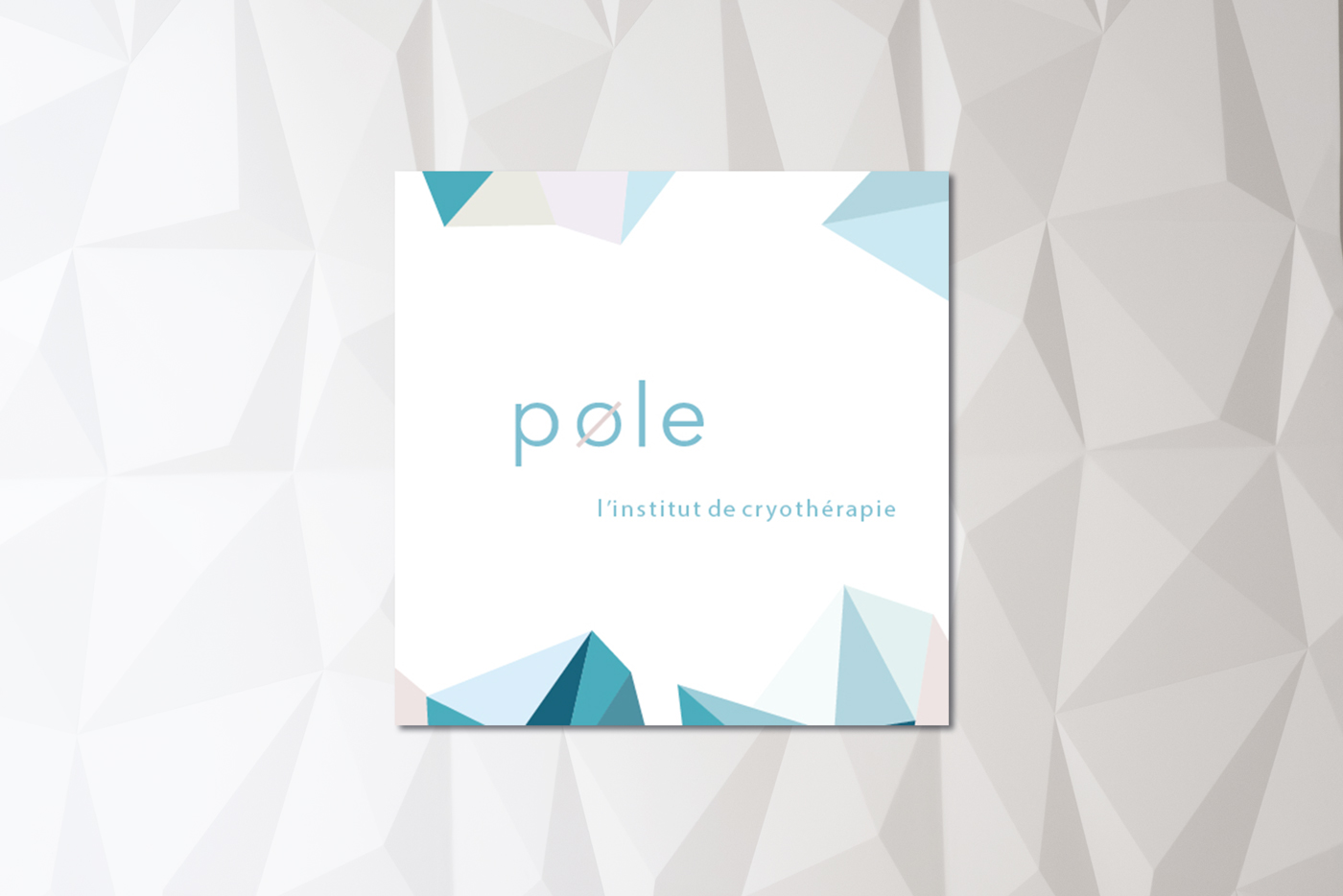 CARTEDEVISITE_POLE.jpg