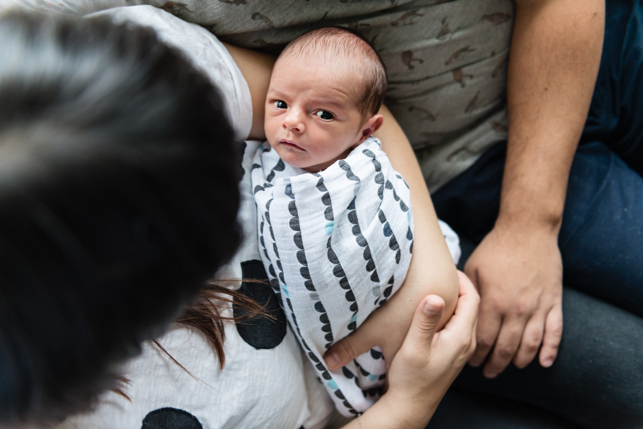 nathaniel | melbourne newborn photographer | clare kinsey photography
