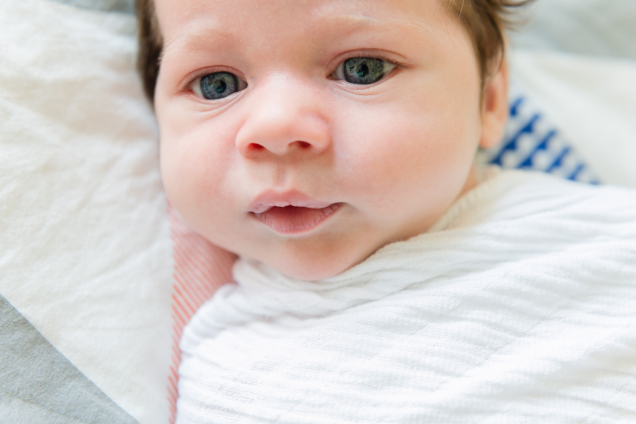 levi | melbourne family photographer | clare kinsey photography