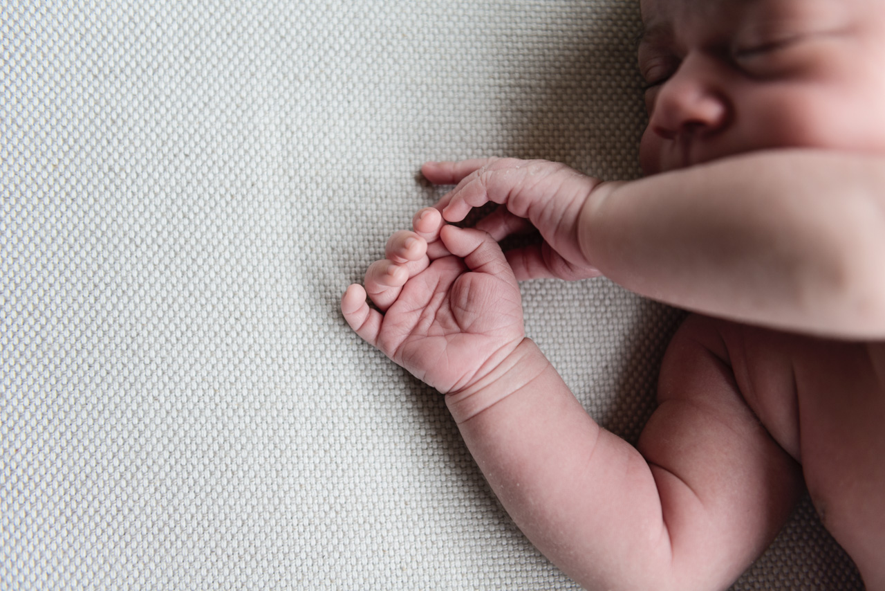 beatrix | melbourne newborn photographer | clare kinsey photography