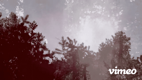 puna vaikku moving-low.gif