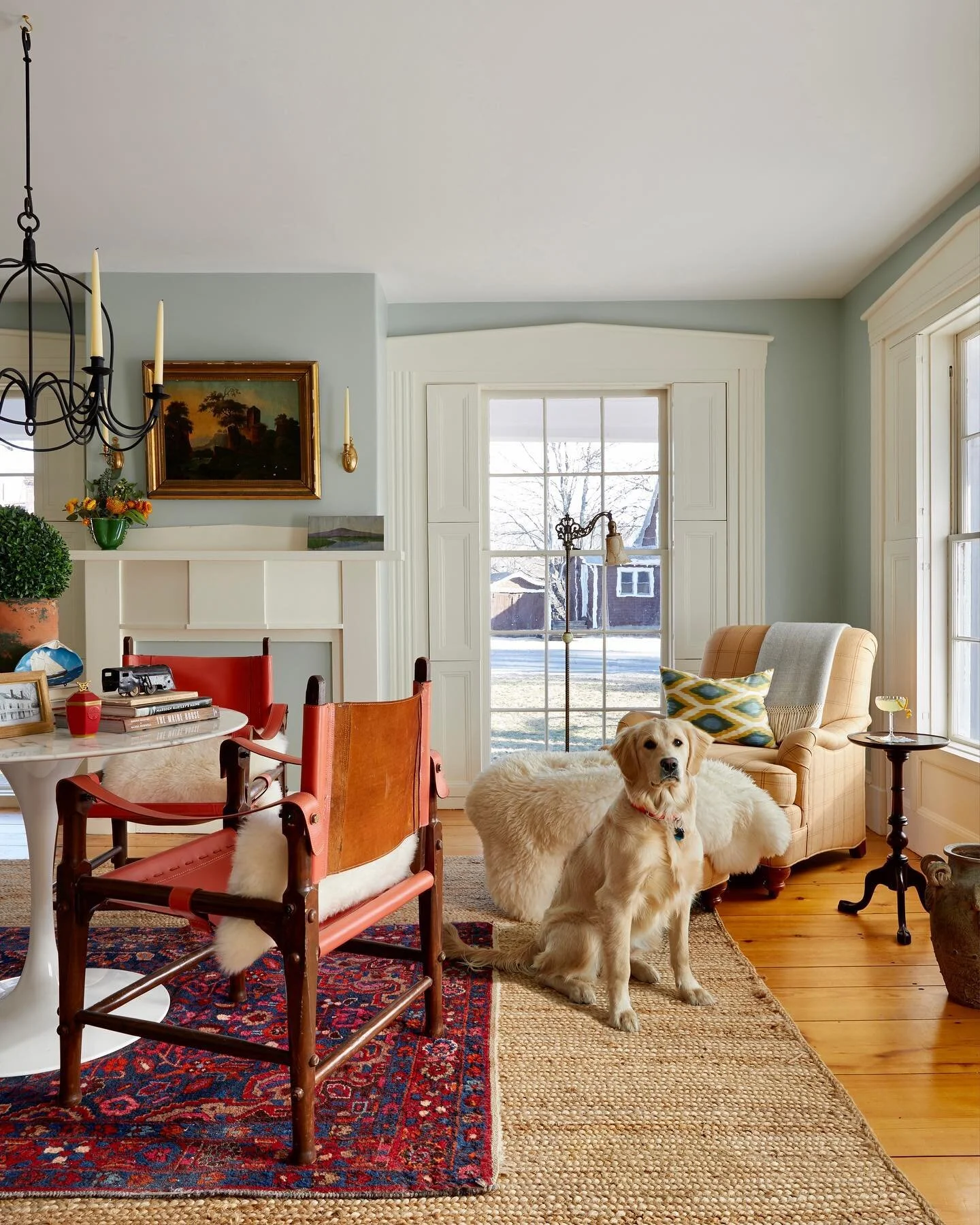 Lily sitting pretty in our West parlor 😊❤️