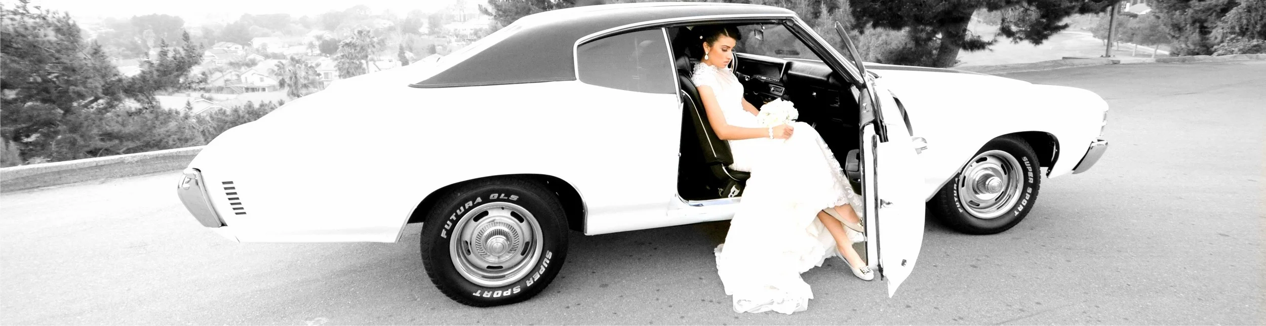 ColorSplashImage (5).jpg