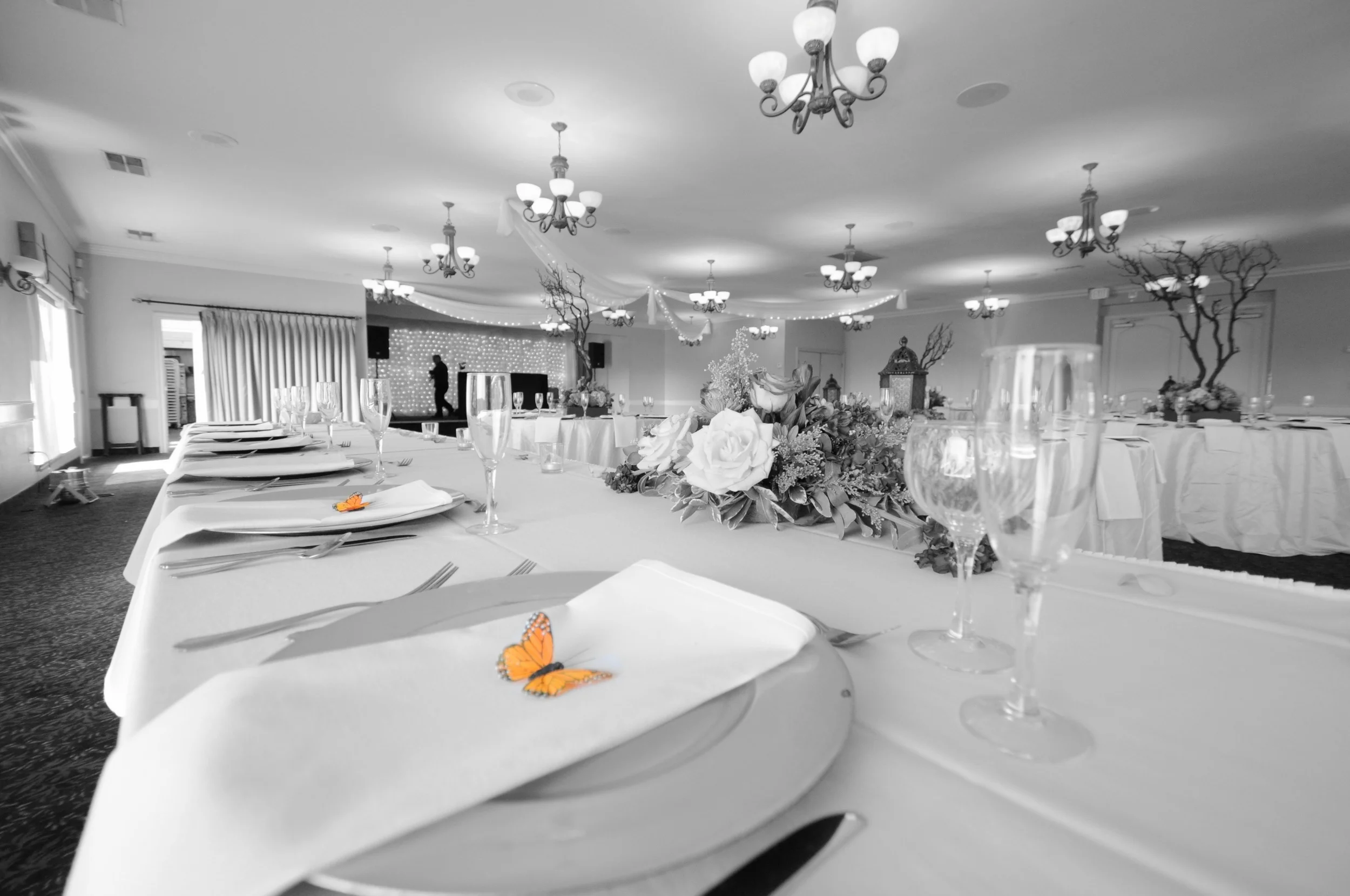 ColorSplashImage (9).jpg