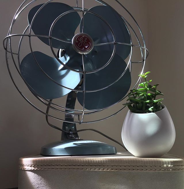 Catch those spring sun rays while you can! #rainraingoaway