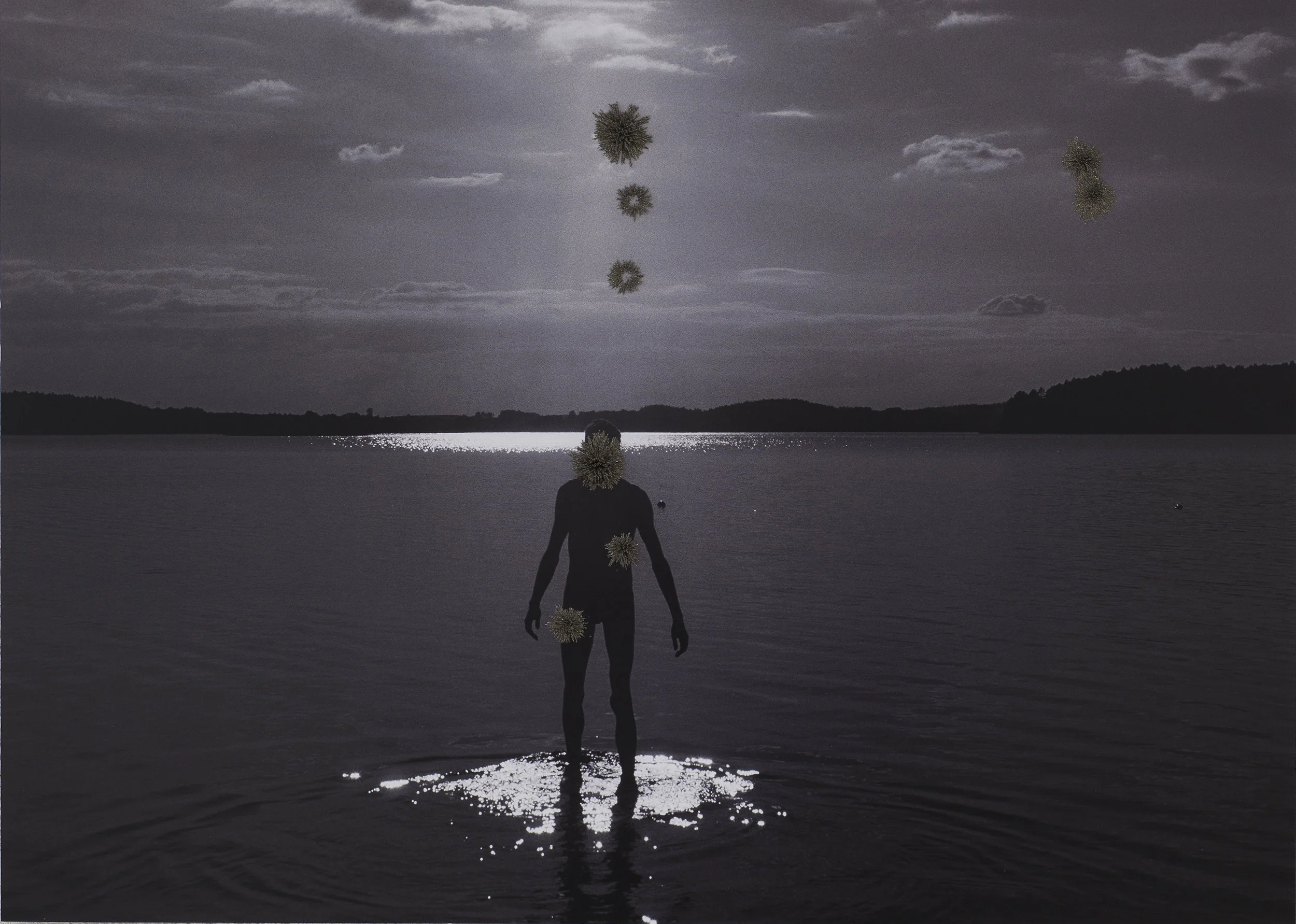Mesmer1 (Something Unkown)#Miroslaw Magola