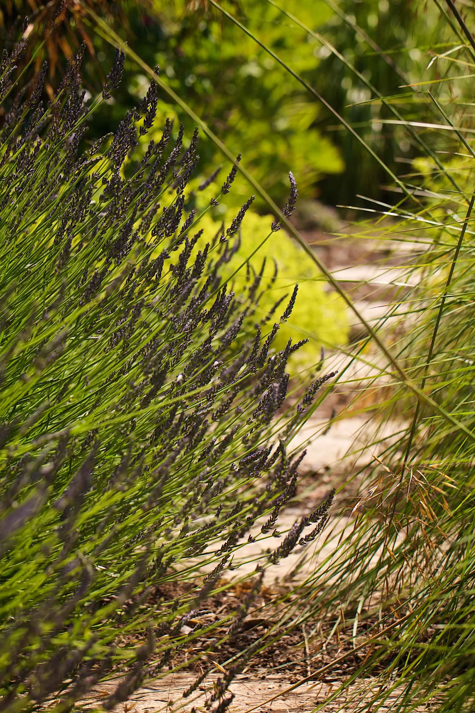 Copyright-OriginalImagePhotography-_57A8107.jpg