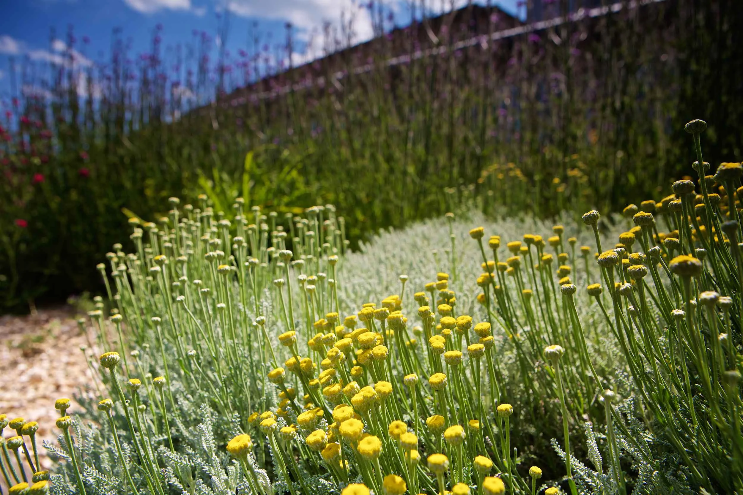 Copyright-OriginalImagePhotography-_57A9546.jpg