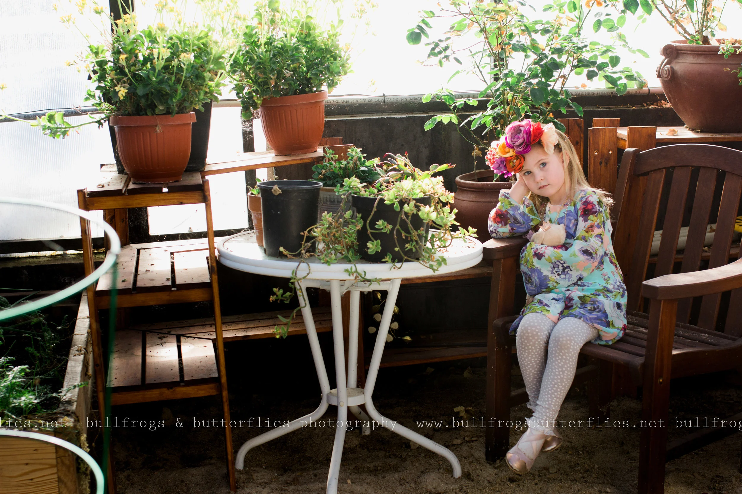 Fly Colorado Child Photographer — Bullfrogs & Butterflies