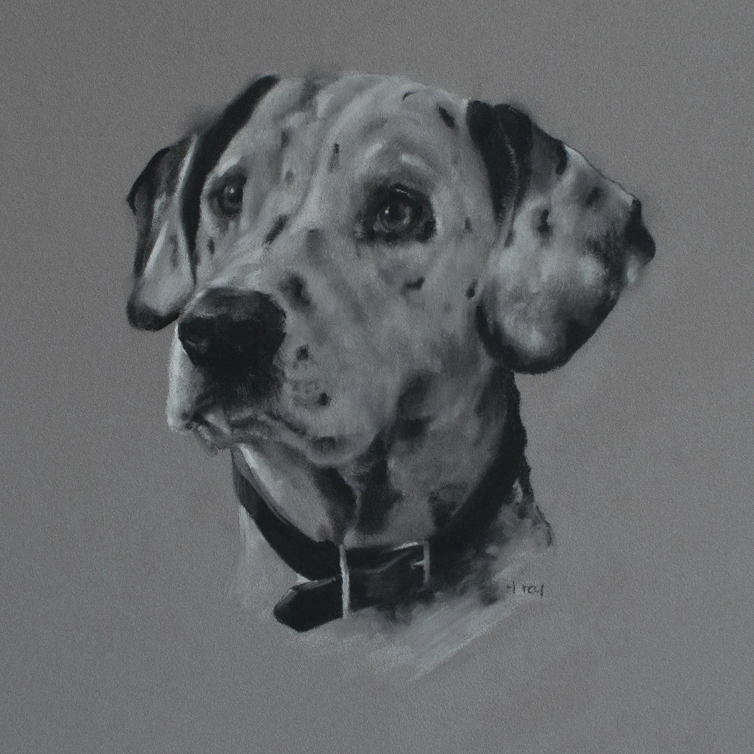 Dalmatian Portrait / Original Drawing