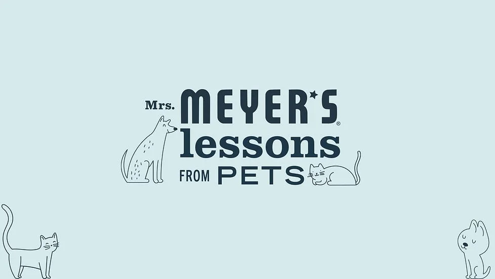 lessons copy.jpg