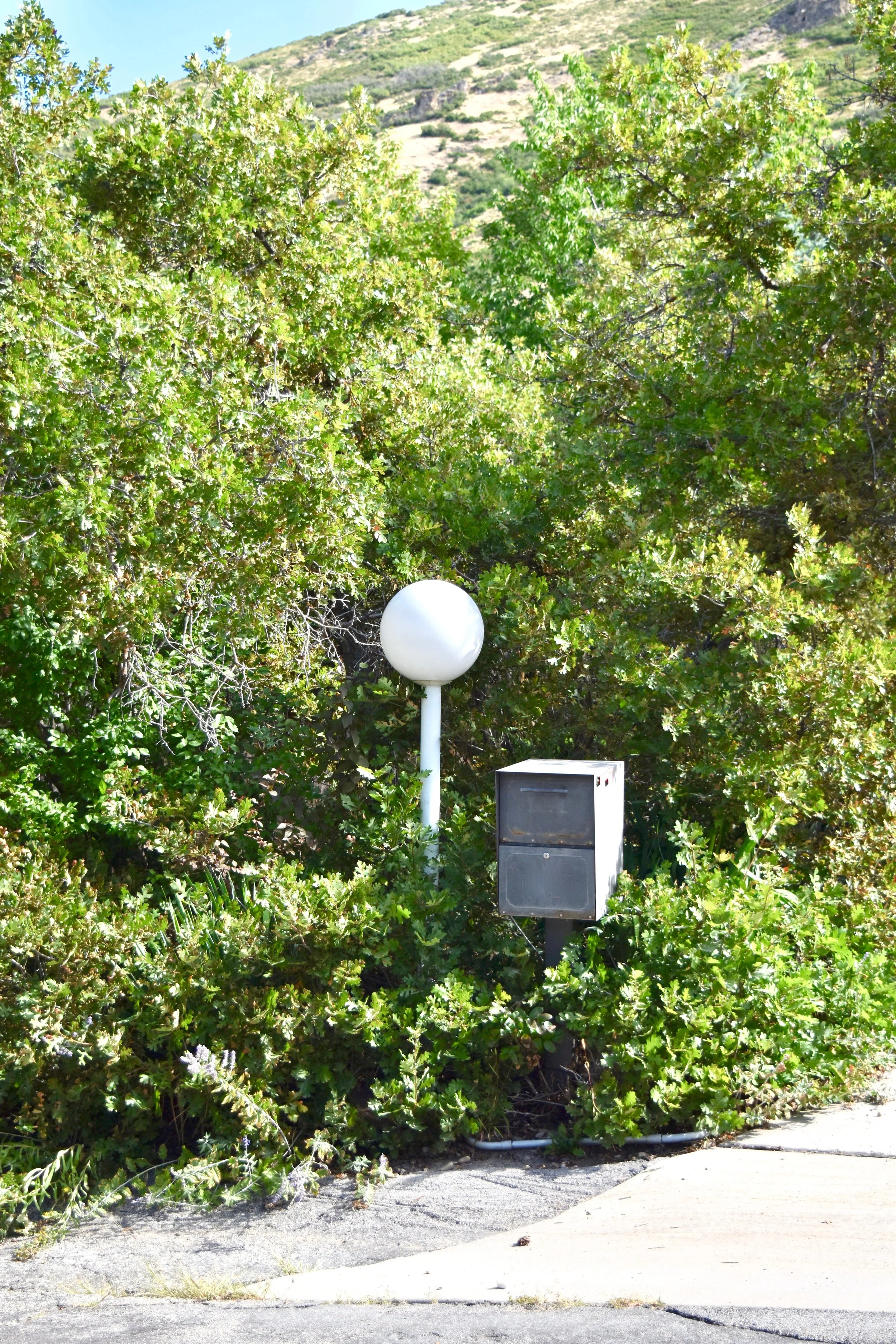 DSC_0013.jpg
