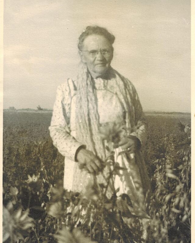 Lydia Ethal Brown. Circa 1945. My great-grandmother.

Thinking about roots today 🌻