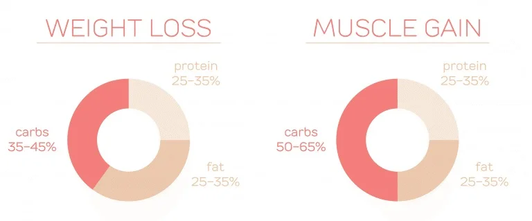 Muscle Gain can be used synonymous with performance