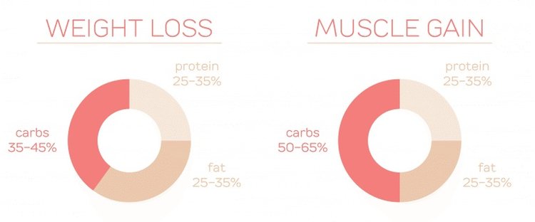 Muscle Gain can be used synonymous with performance