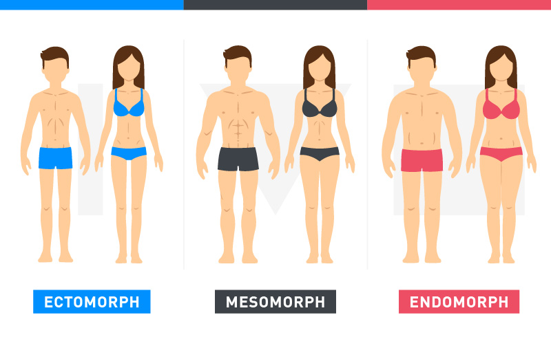 Macro-Morphing: Eating For Your Body Type