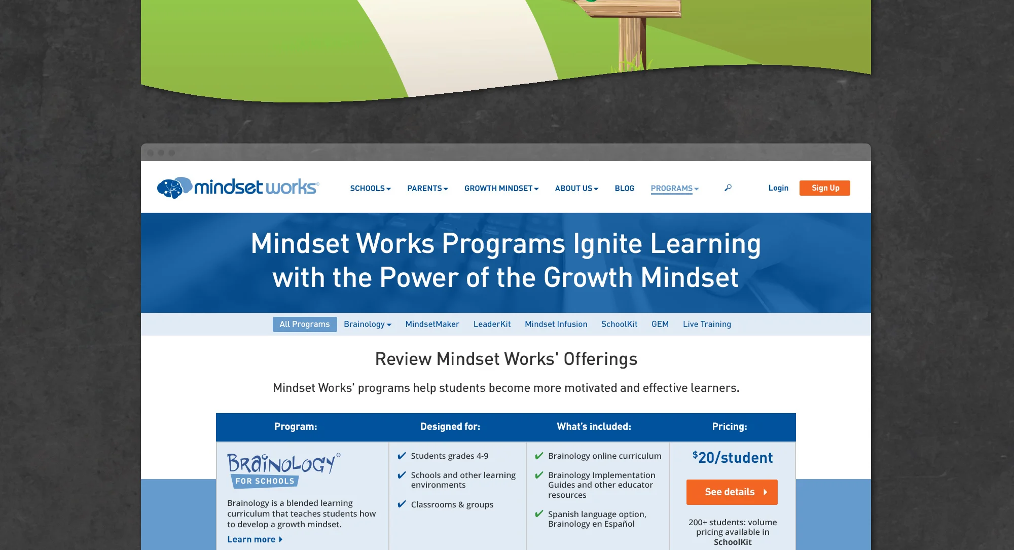 mindsetworks_web_09.jpg