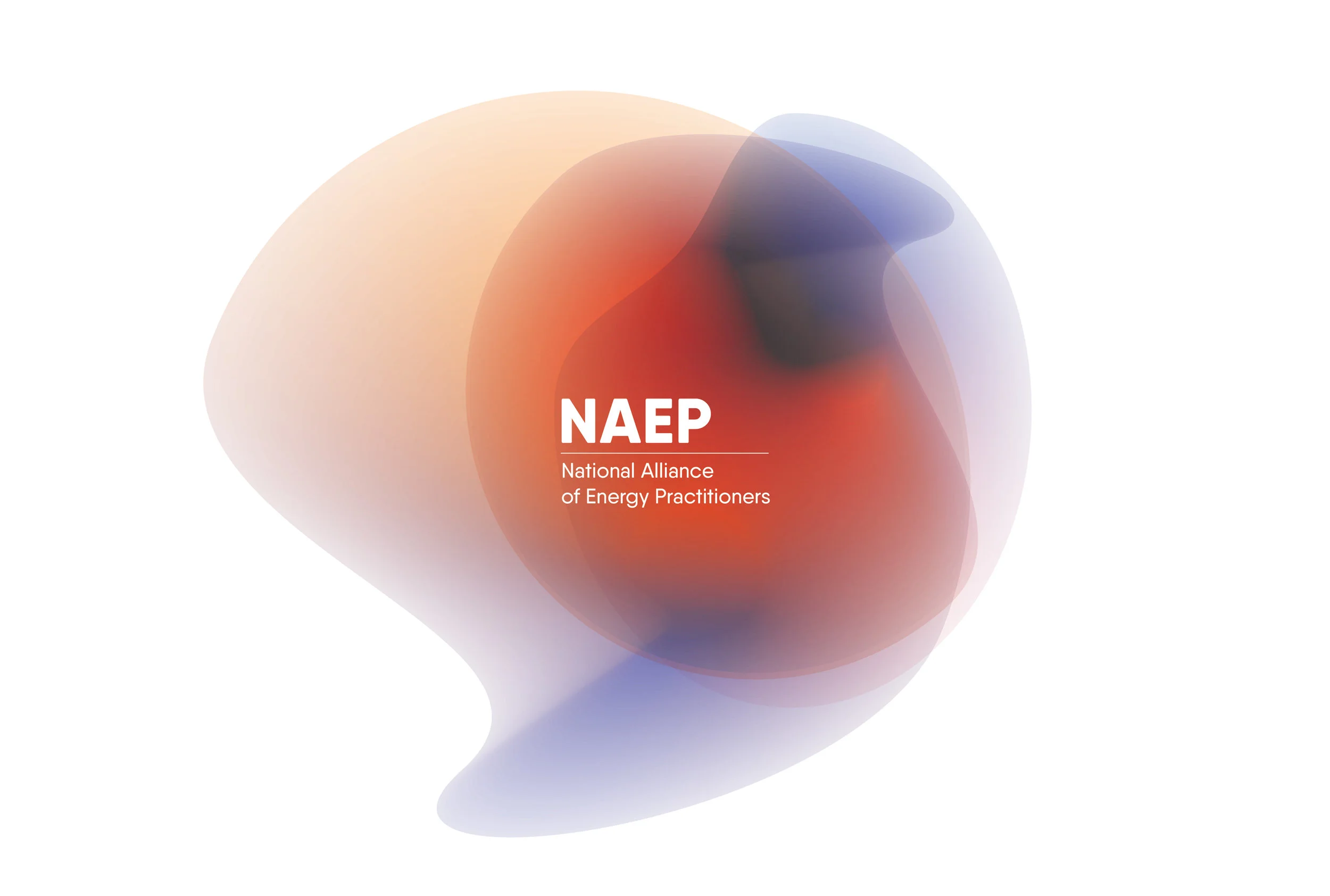 NAEP_Logo_Study_1-04.jpg