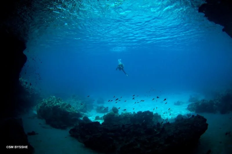 gowestdiving-sb-blueroom.jpg