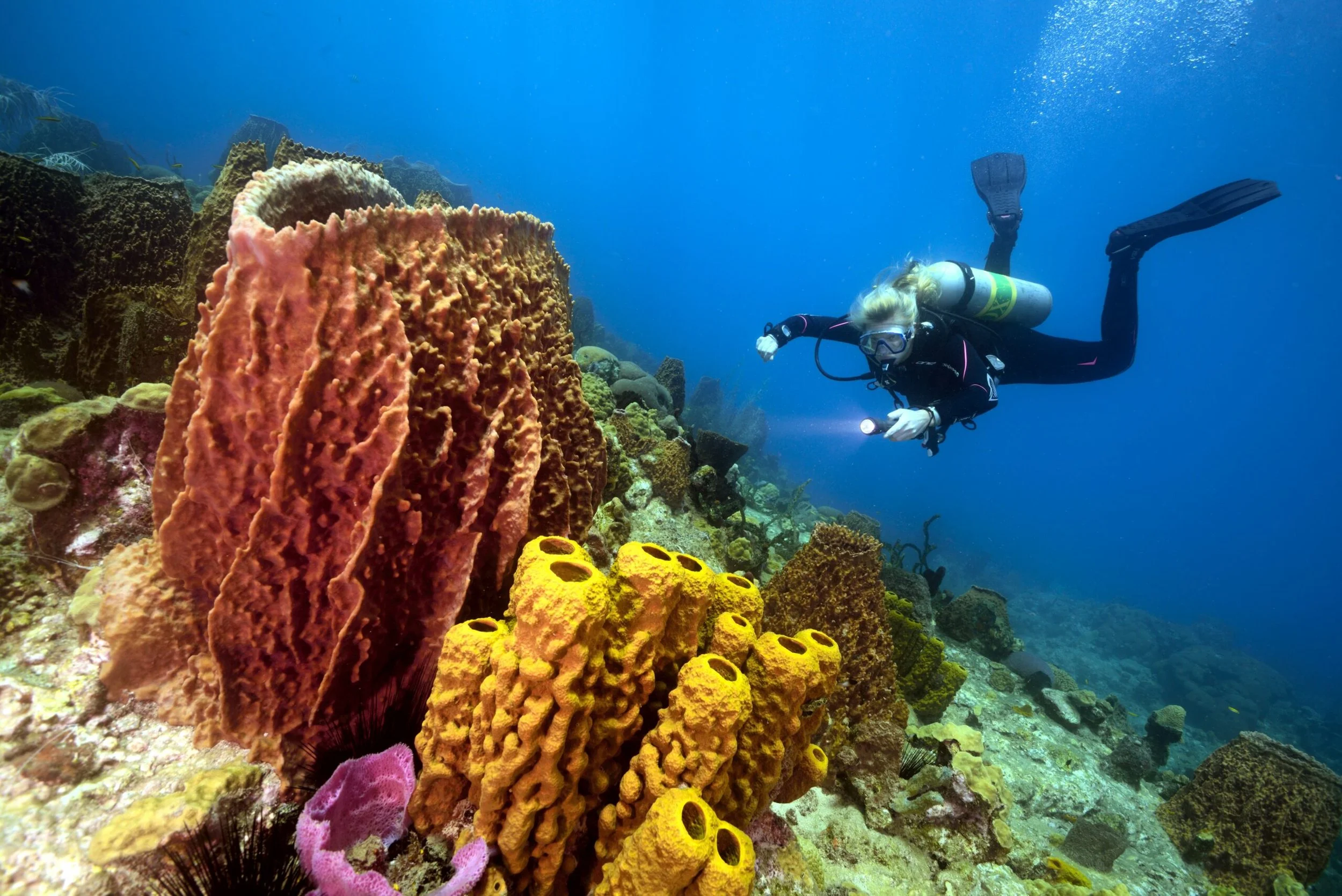 Dominica_REN_2321-4-scaled.jpg