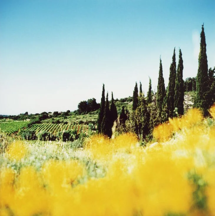 here is the grounds of the chateau&nbsp;
