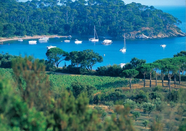Provence rosé is as delectable as the locations it comes from.