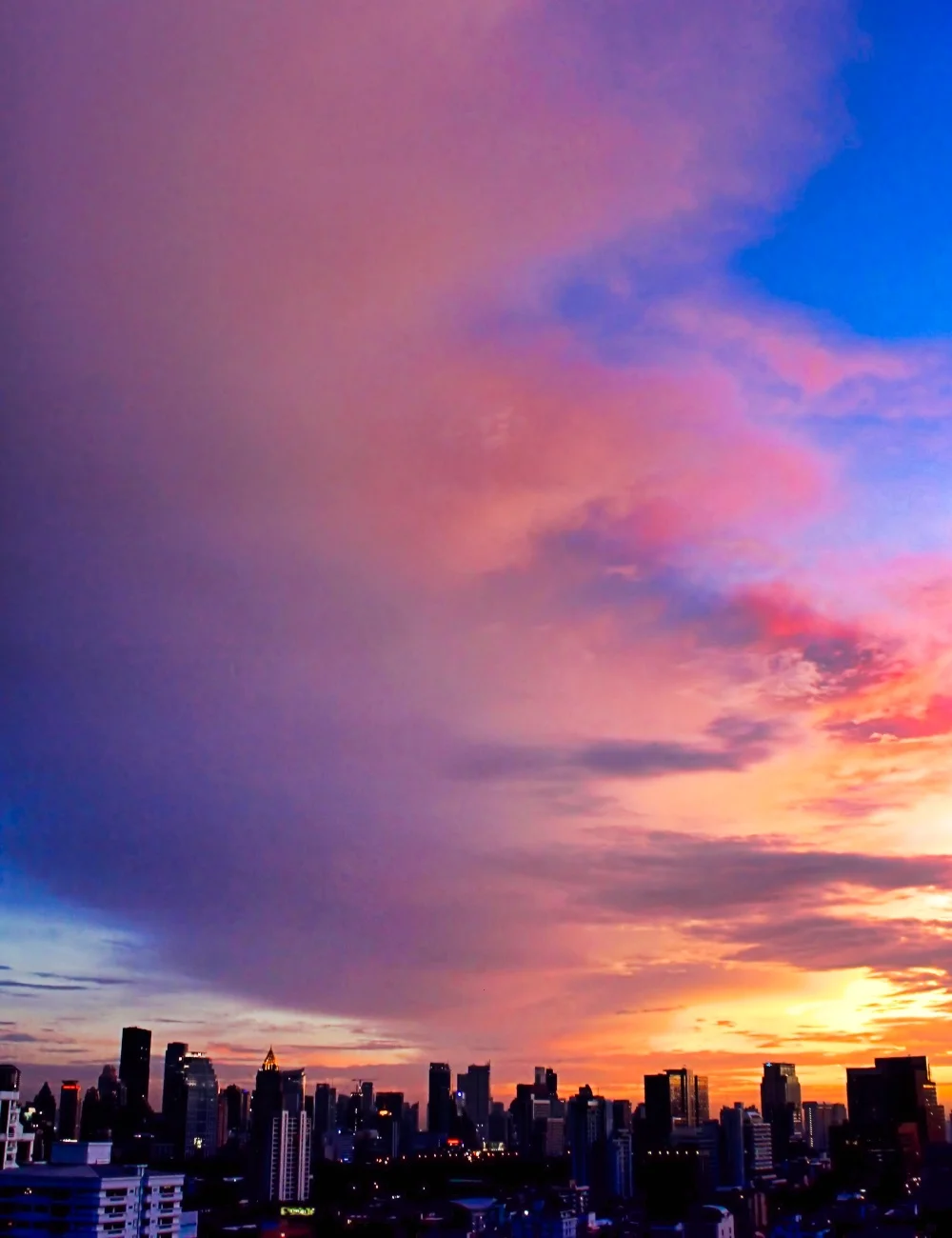 orchid sundset.jpeg