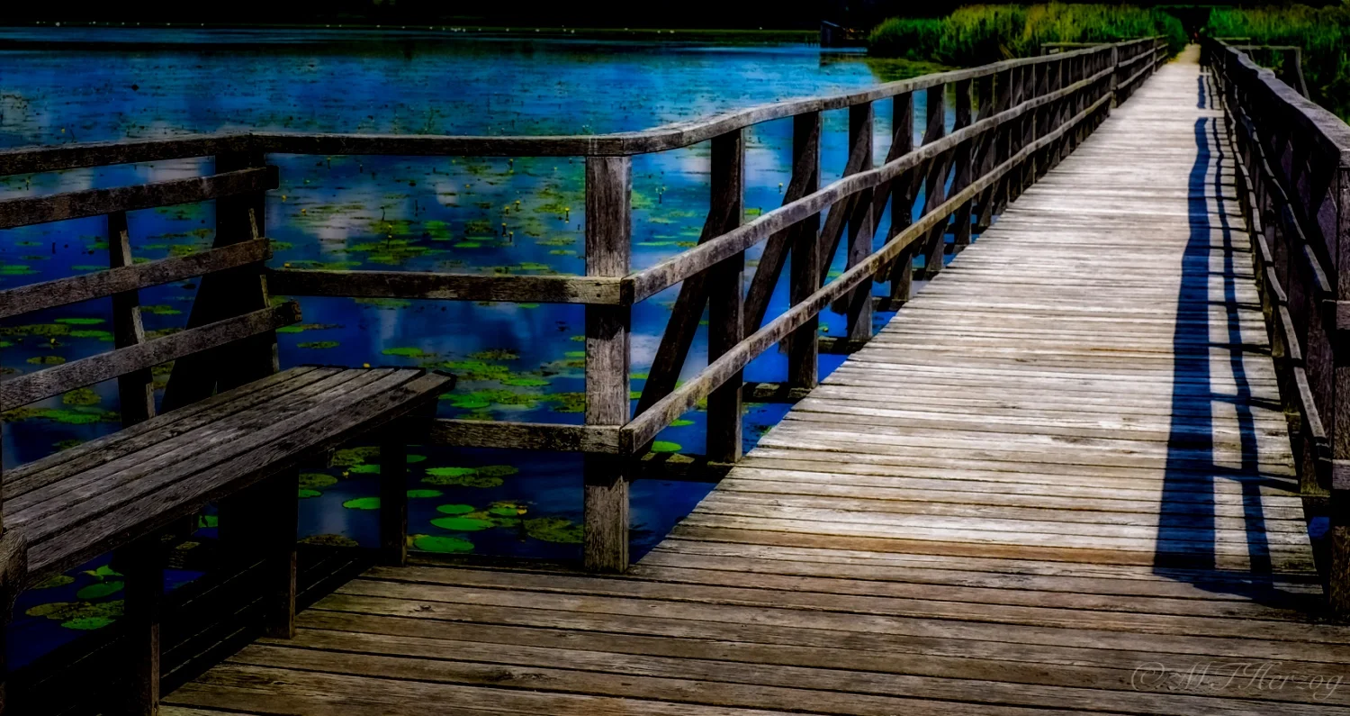 benchbridge.jpeg