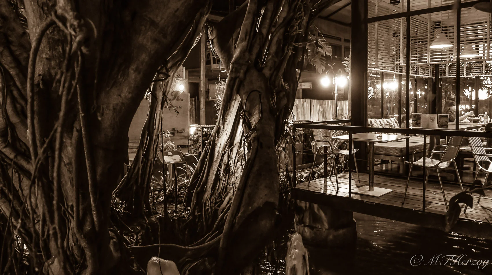 soi53.jpg