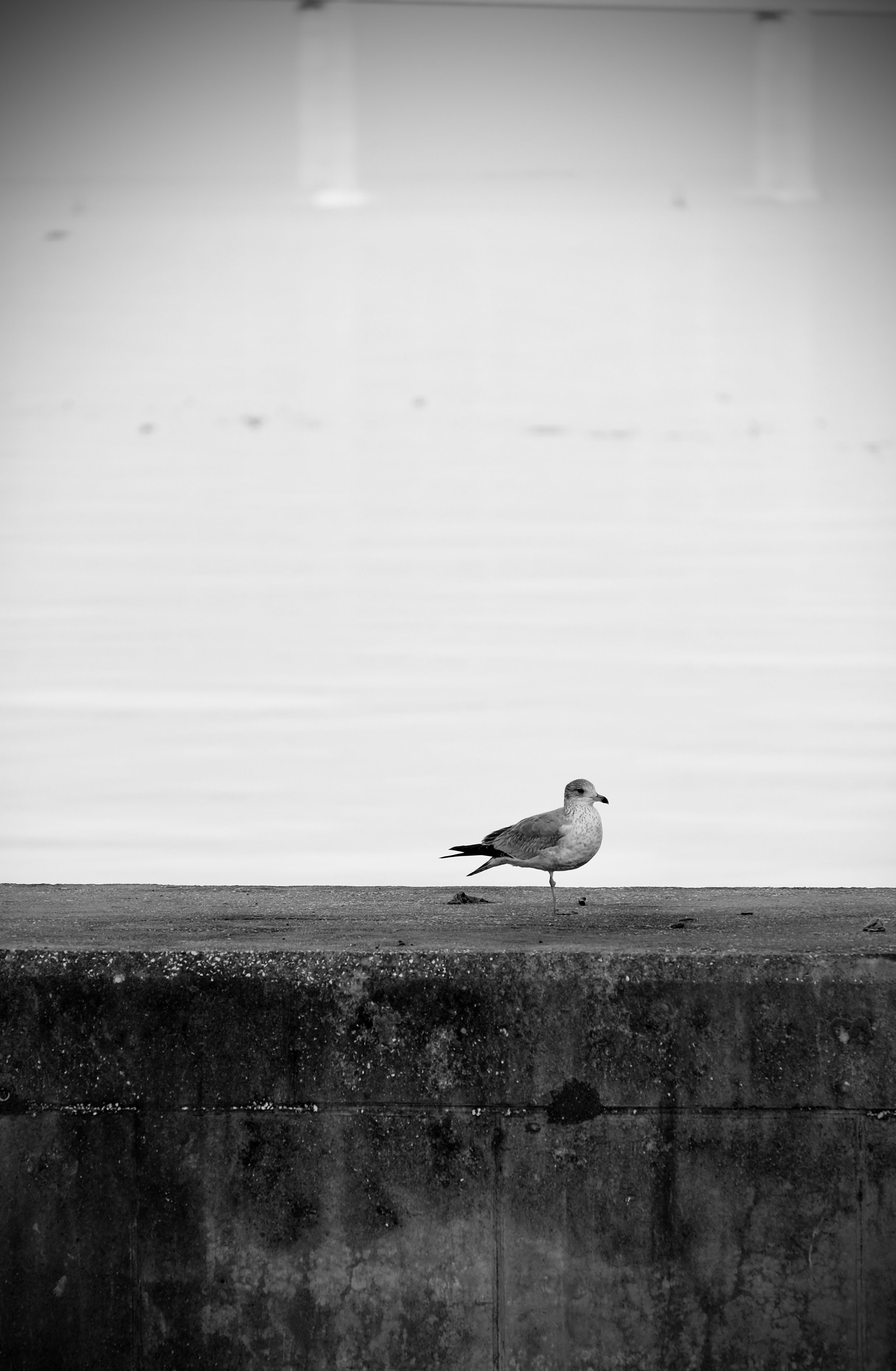 IMG_7769.jpeg