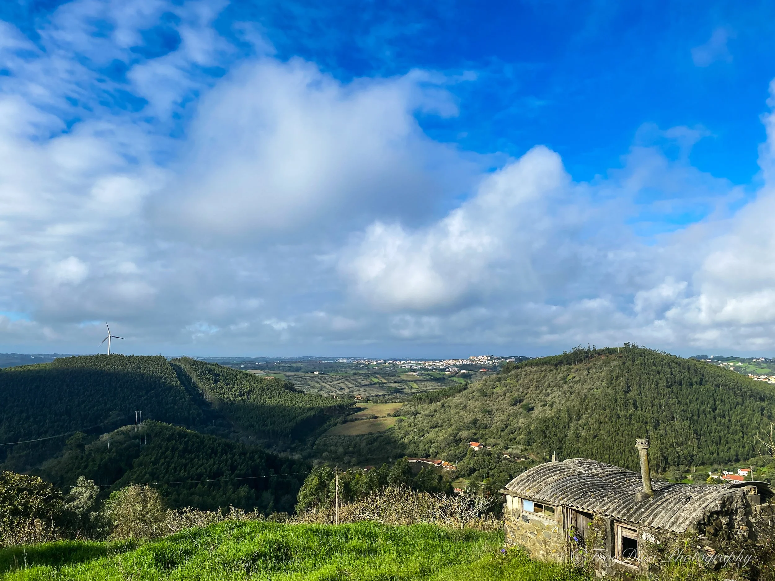 Shire5-SM.JPG