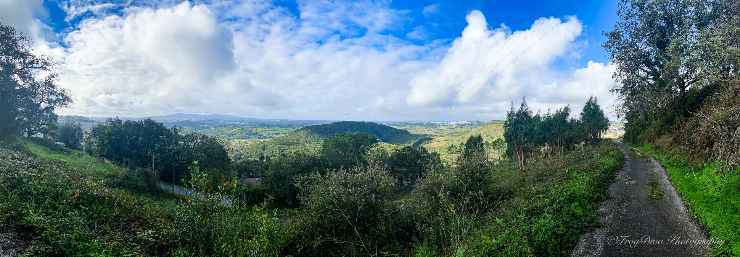Shire4-LR.JPG