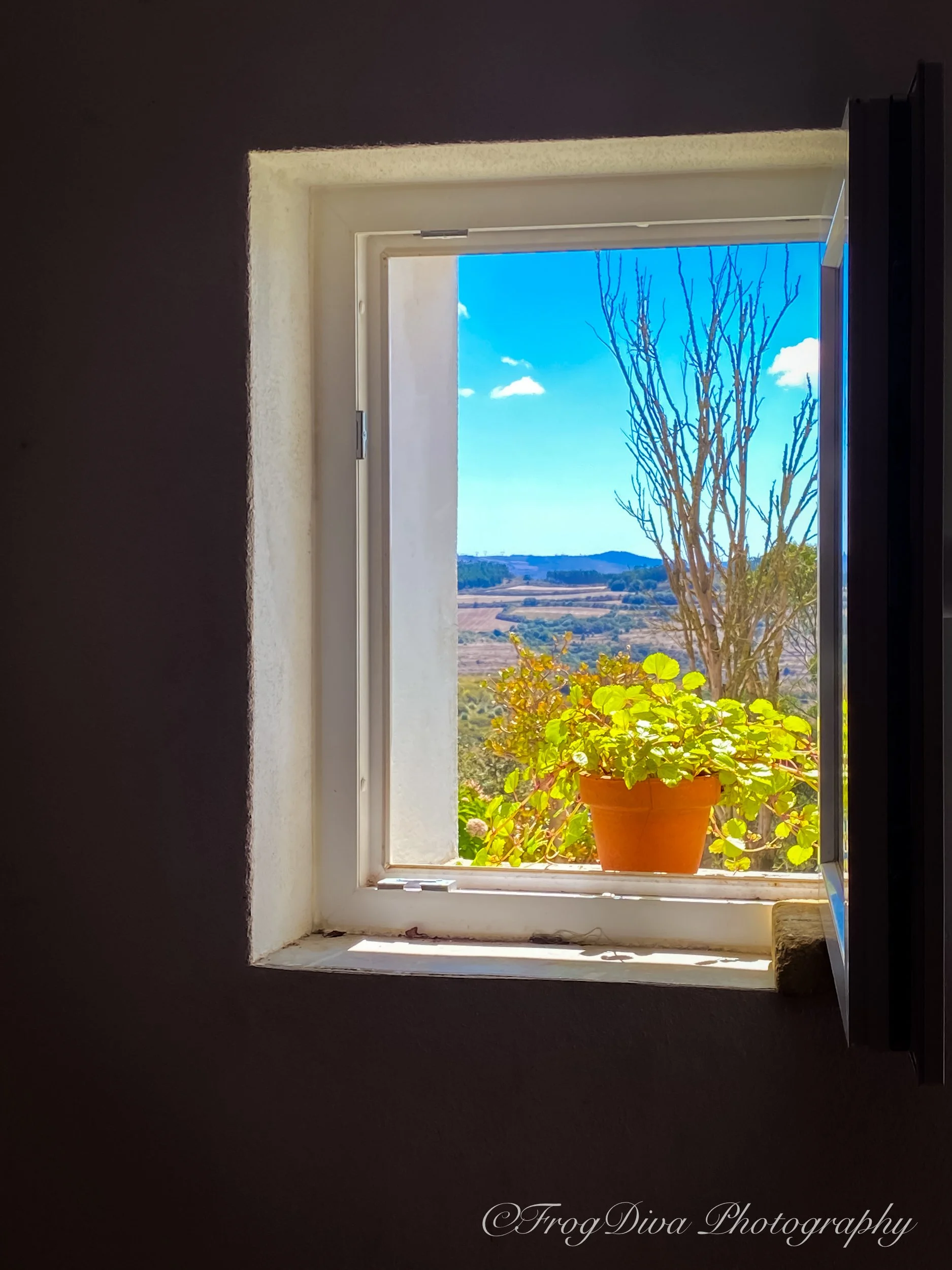 Sundayvibes1- LR.JPG