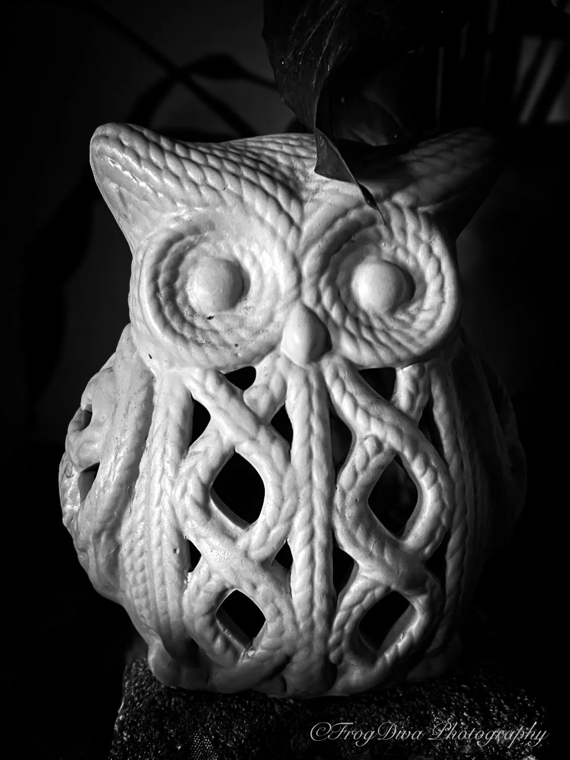 Owl1-SM.jpg