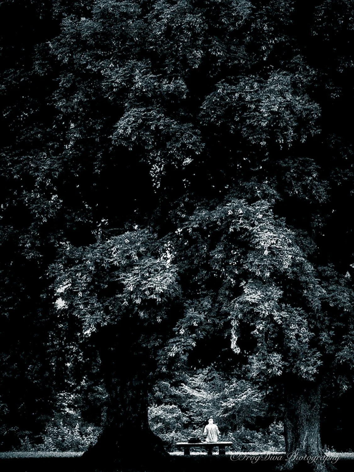 SWM2-SM.jpg