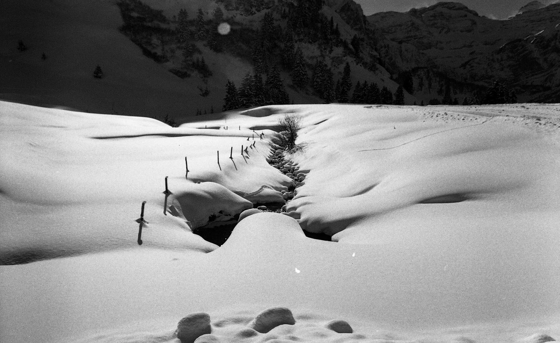 ‘Swiss Snow Tracks’ 2017
