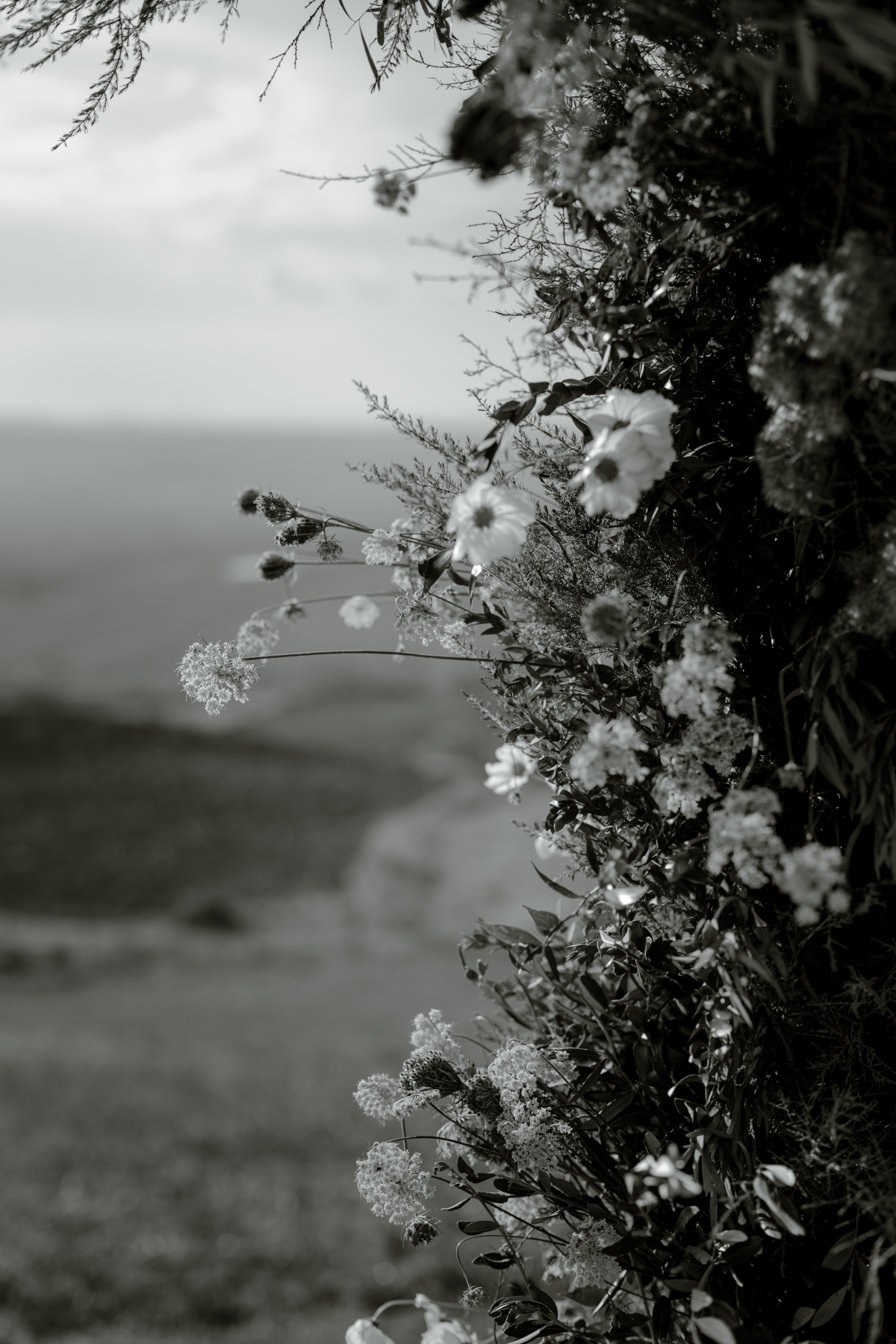 wildflower-arch-wedding.jpg