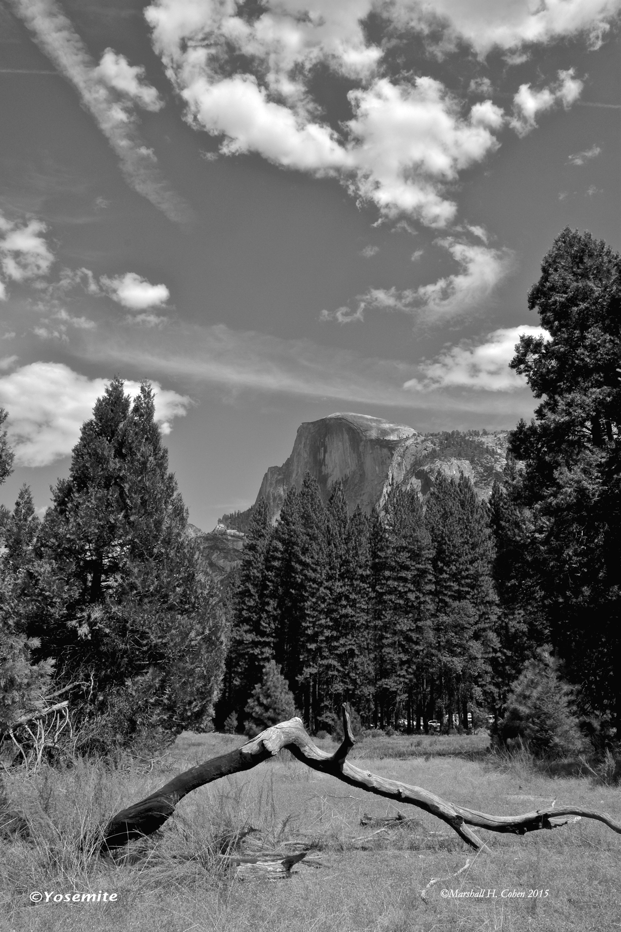 Yosemite.jpg